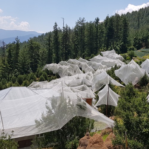 Anti Hail Nets manufactured by B&V Agro Irrigation Co